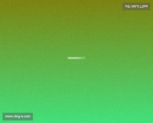 烟台体育场篮球比赛2021